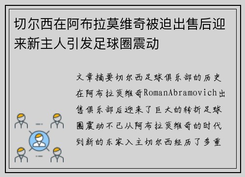 切尔西在阿布拉莫维奇被迫出售后迎来新主人引发足球圈震动